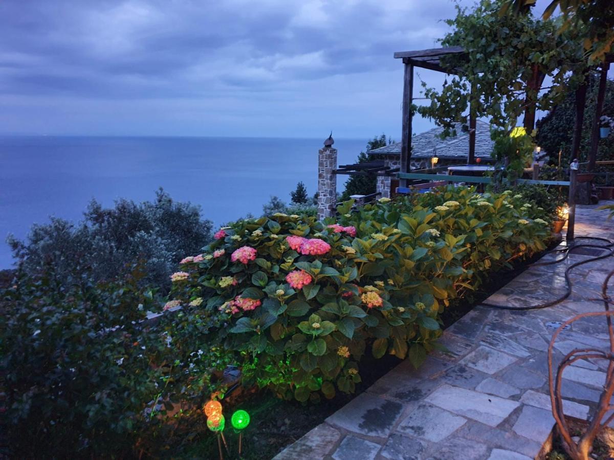 הוילה זגורה Analipsi Sea View Hommes מראה חיצוני תמונה