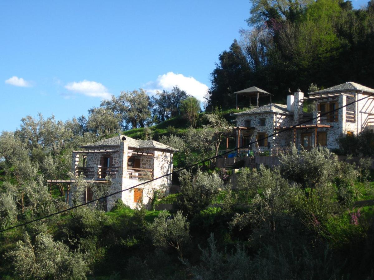 הוילה זגורה Analipsi Sea View Hommes מראה חיצוני תמונה